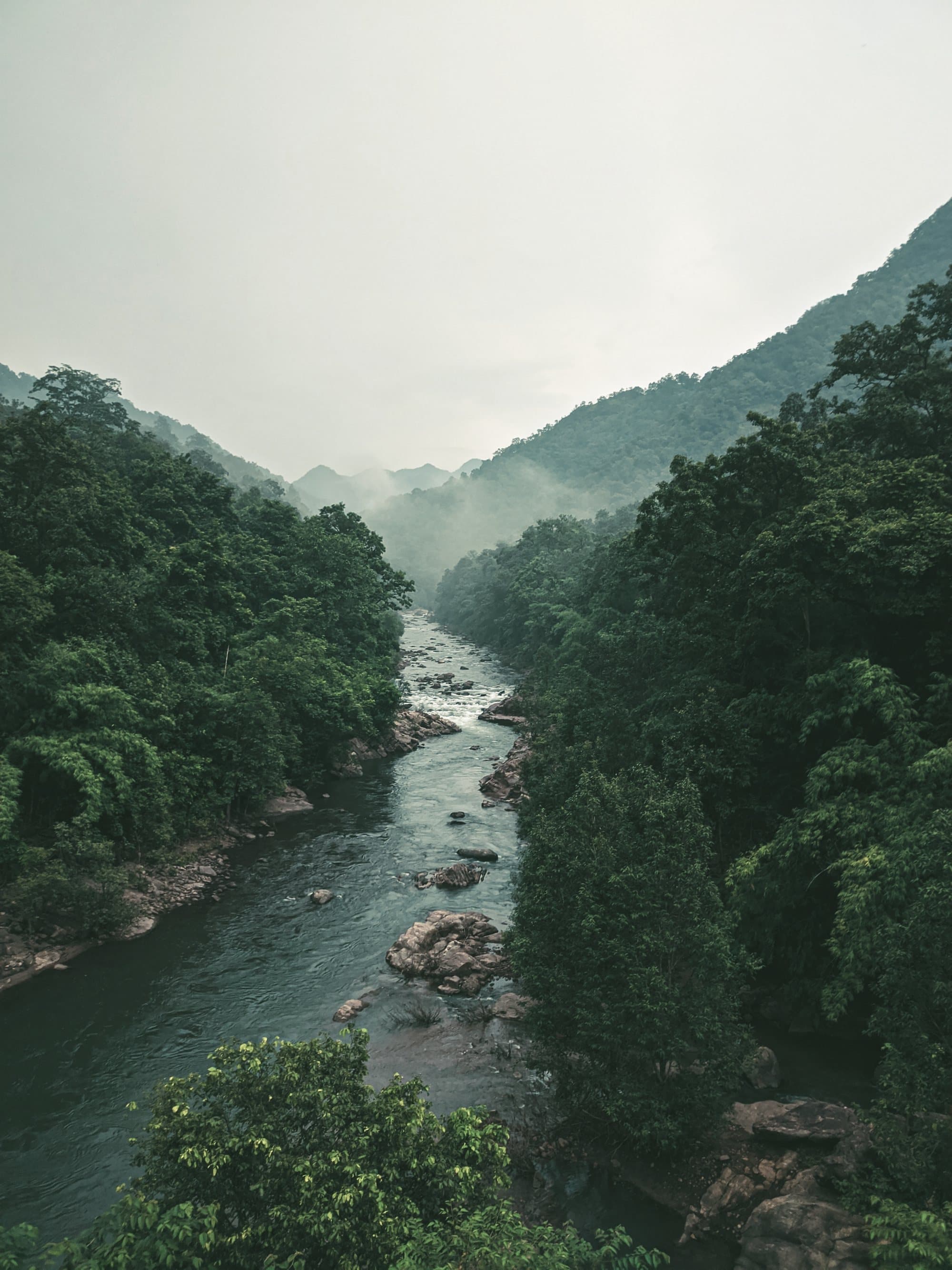 The river below the house at Nadithaara, mist sitting in the valley